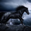 Black Horse