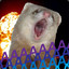 frightened ferret