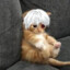 killua