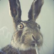 TwoHands - steam id 76561197970759993