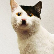 尺丂ㄒ|ŁēĢēηÐā|