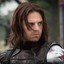 Bucky