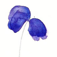 江风引雨不玩游戏