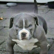 Evil Pibble