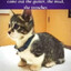 individual kitten character