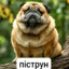 пiструн