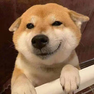 搞笑男啥也不会