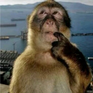 Người Kinh Diệt Tày