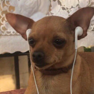 エロマンガ先生