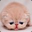 氢氧化猪丶