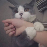 八了百了标了兵了奔了北了坡