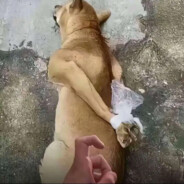 郴州2K大王铁柱