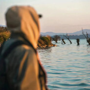 一天不打积阳德 两天不打积积阳阳德