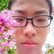 西部利雅小仓鼠