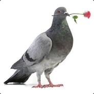 大腚小仙男（？