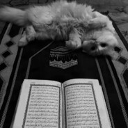 M𝓪𝓻𝓬𝓱𝓸