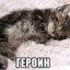 О ЕС