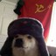 Communist Doggo