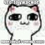 Veceneri_Panda