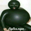 GreenBear