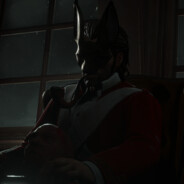 无限制格斗专家