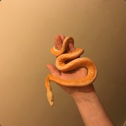 jasezxr