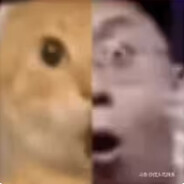 Astralis最锋利的剑