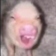 梓小若