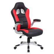 Gamer Chair.