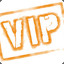 [ ]V.I.P[ ]