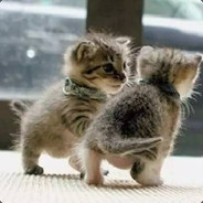 今天依旧白给嘛