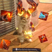 where have you been in my life