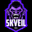 Skveil