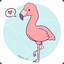 Flamingo_Guy