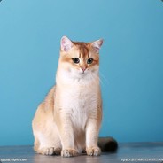 PT灬 残月  天降正义