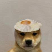 Dog Wif Egg