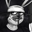 Jack-Rabbit