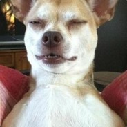 [NO-sXe-I] DeuS VulT