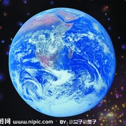 kale（外国人不懂中文）