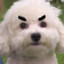 YEOMJ