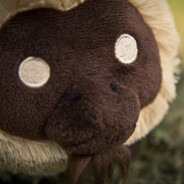 monoc