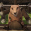beever