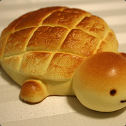 The loaf turtle