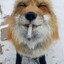 Cool as frick fox