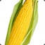 !CORN!