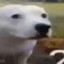 2486