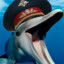 Combat Dolphin