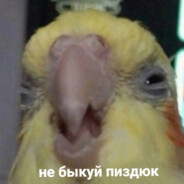 Мой ручной Хомяк