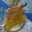 大明最后一个太子