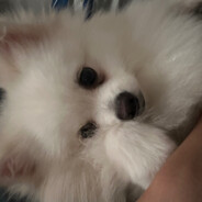 你要玩 game 吗？